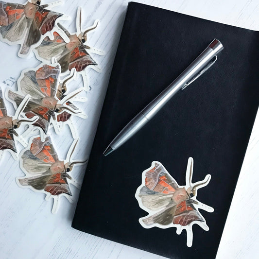 A blood-vein moth sticker created from an original digital illustration by Loadofolbobbins. The moth looks as if it's coming into land, with it's wings spread wide mid-flight. This moth is an array of earthy brown and greyish tones with rich deep orange highlights on the upper wings. It has vein like markings on the upper wings which are off white. It has a dark compound eye and slightly feather brown antennae. The sticker is on a black notebook with a pen resting on it.
