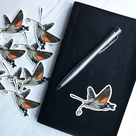 A hummingbird hawk-moth sticker created by Loadofolbobbins. With a rather chunky body this moth has surprisingly small wings. The wings are lifted up mid flight, the underside of the upper wing has a lovely orange tinge to it bordered in a rich brown, with the lower wing being a warm vibrant orange. The back of the upper wing furthest away from the viewer is a mix grey browns. With a large dark compound eye and prominent dark antennae, the moths long proboscis is out and curling into a spiral. 