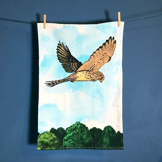 A  photo of  tea towel hanging on a washing line against a dark blue wall. The tea towel shows an illustration of a hovering kestrel flying above the tops of trees and against an inky dark blue wash white background.