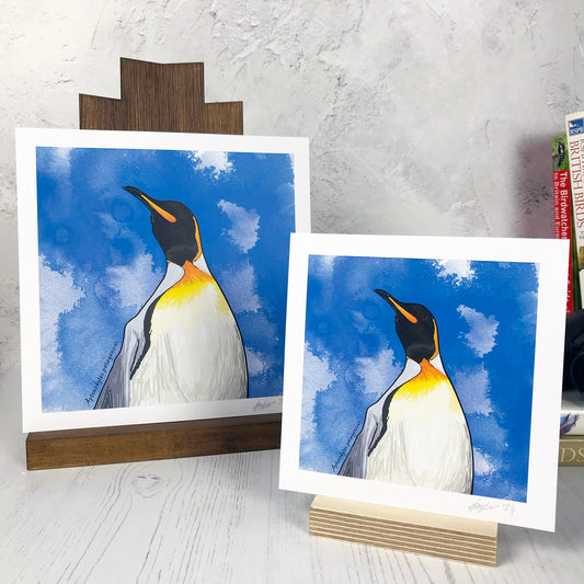 A photo of medium sized and small sized square art prints made from an original digital illustration by Loadofolbobbins. It is of a king penguin with energetic pen line marks. The illustration is a close up of the shoulders and head and is set against a vibrant blue ink wash background. It has a very regal pose and the viewer is almost looking up at the penguin. It has a cream belly which leads to vibrant yellow orange colouring, black head and beak and grey back. There is a 2.5 cm white border for framing.