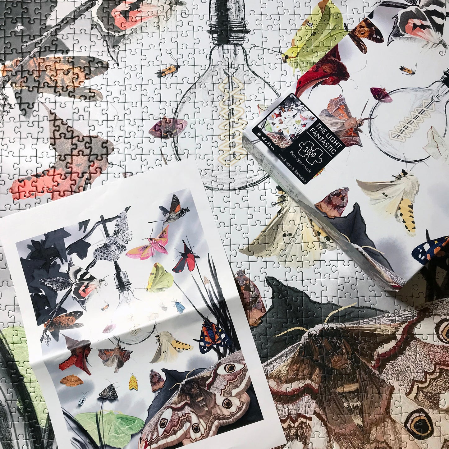 UK Moths 1000 Piece Jigsaw Puzzle | Wildlife Art