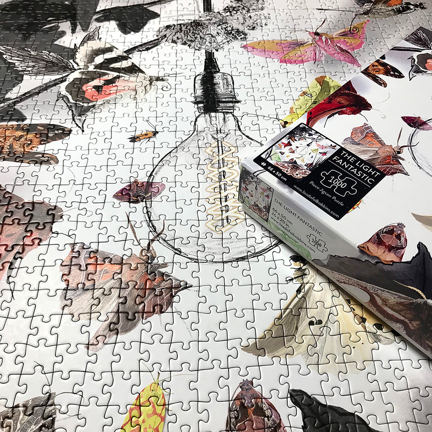 UK Moths 1000 Piece Jigsaw Puzzle | Wildlife Art