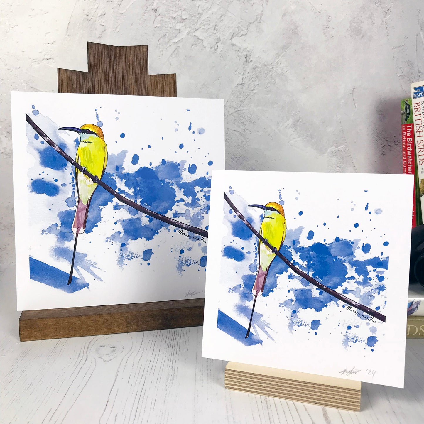 A photo of medium sized & small sized square art prints made from an original illustration by Loadofolbobbins. It is of a little bee eater bird perched on a fine curved branch. They have vibrant green upper feathers and yellow head. there's a black band of feathers like a zorro mask. It has a long pointed curved grey beak. The background of the image is made of rich bright blue inky splash marks. There is a 2.5 cm white border for framing.