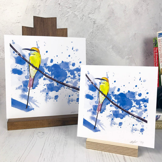 A photo of medium sized & small sized square art prints made from an original illustration by Loadofolbobbins. It is of a little bee eater bird perched on a fine curved branch. They have vibrant green upper feathers and yellow head. there's a black band of feathers like a zorro mask. It has a long pointed curved grey beak. The background of the image is made of rich bright blue inky splash marks. There is a 2.5 cm white border for framing.