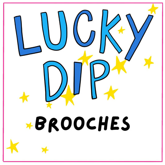 Lucky Dip Brooches