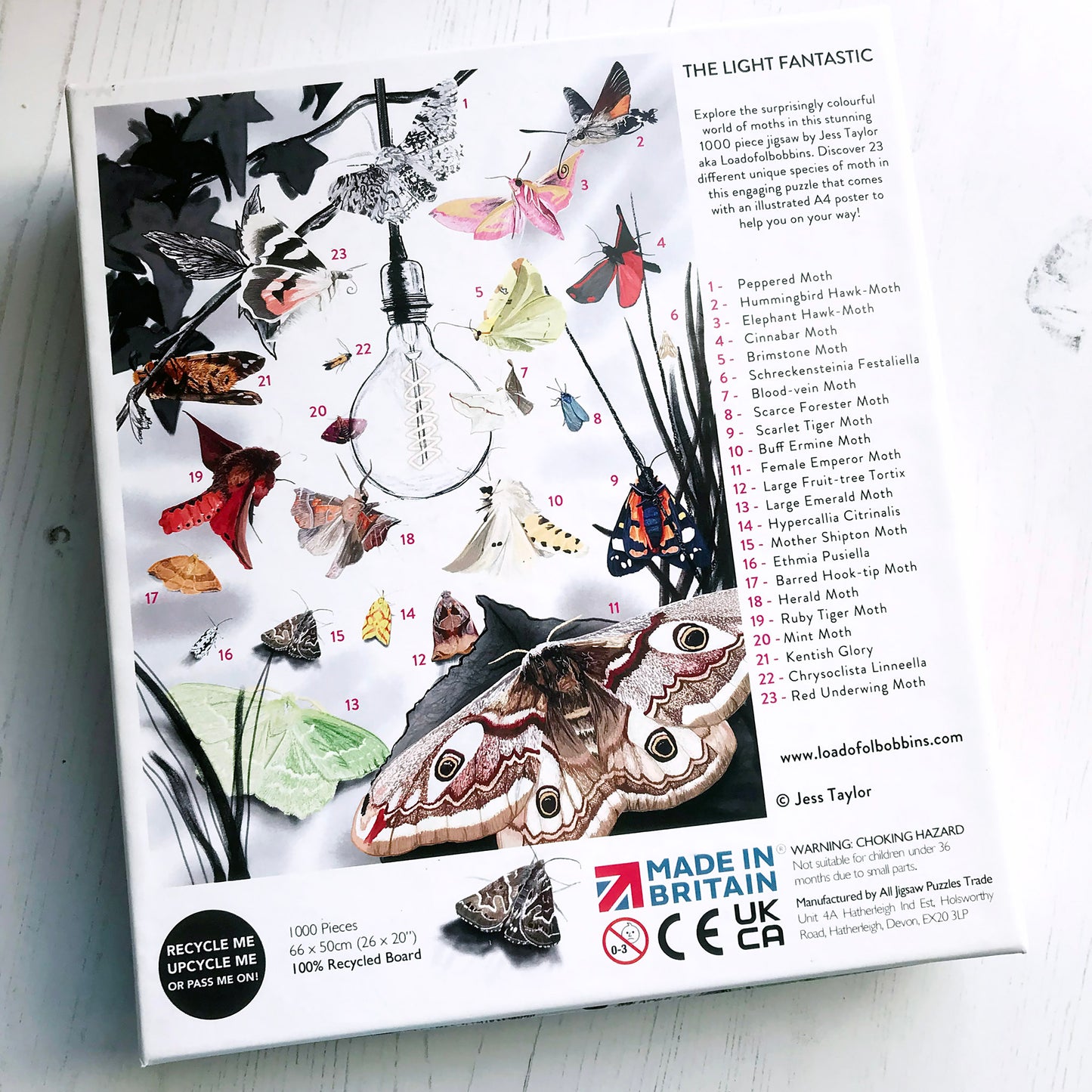 UK Moths 1000 Piece Jigsaw Puzzle | Wildlife Art