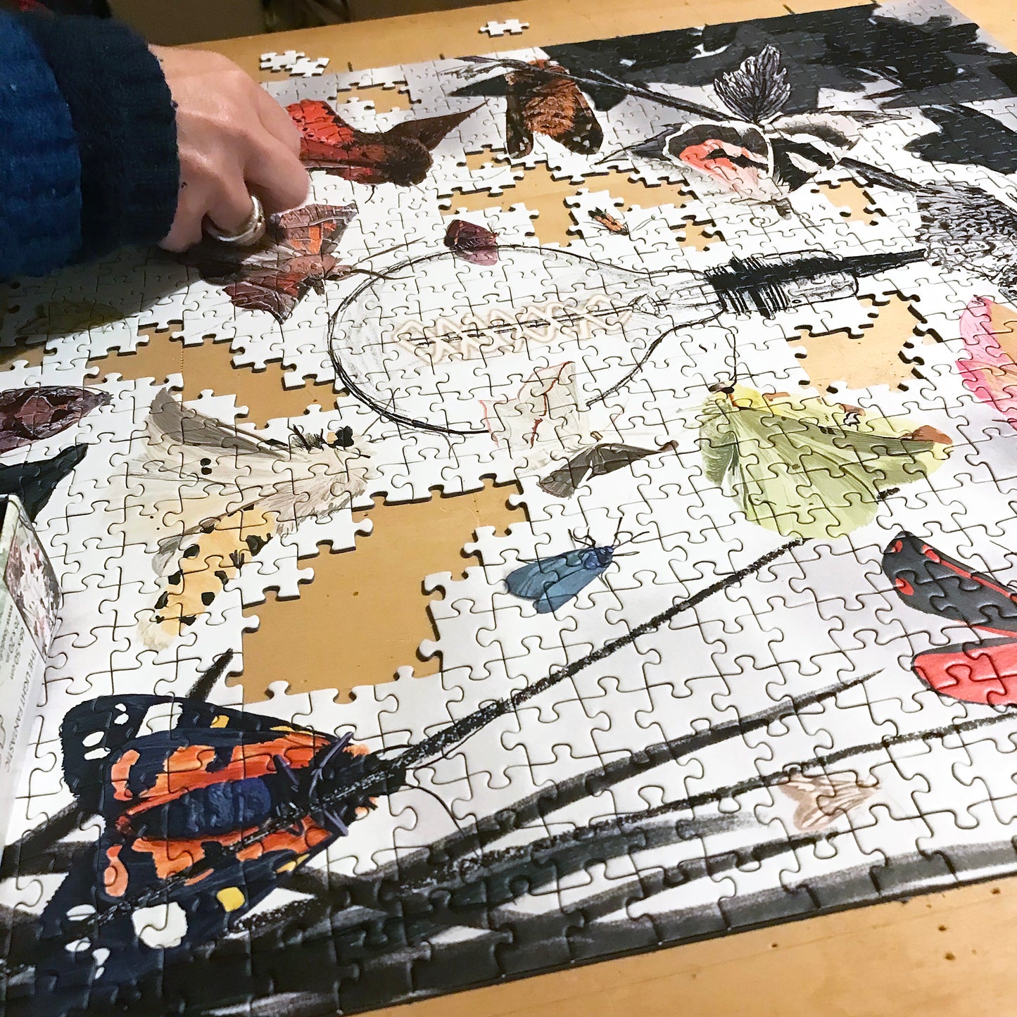 UK Moths 1000 Piece Jigsaw Puzzle | Wildlife Art