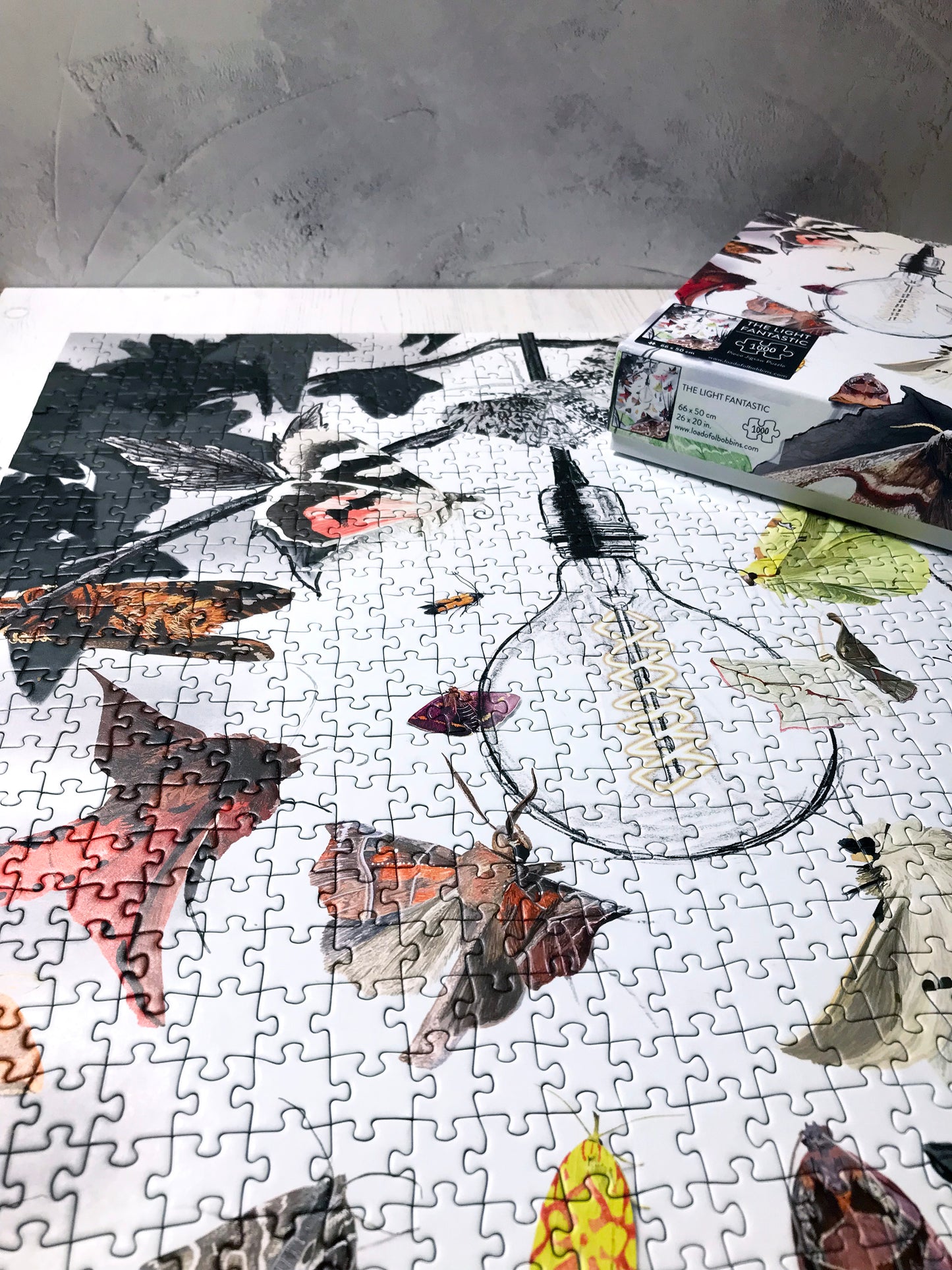 UK Moths 1000 Piece Jigsaw Puzzle | Wildlife Art