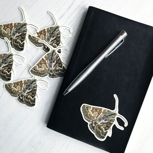 A Mother Shipton moth sticker created from an original digital illustration by Loadofolbobbins. It has it's wings closed behind itself and is a mixture of deep rich browns with white markings. Some of the main white markings form a stereotypical hag like face outline, which is how it got it's name. It has a fluffy upper body it tones of blue grey and dark antennae. The sticker is on a black notebook with a pen resting on it.