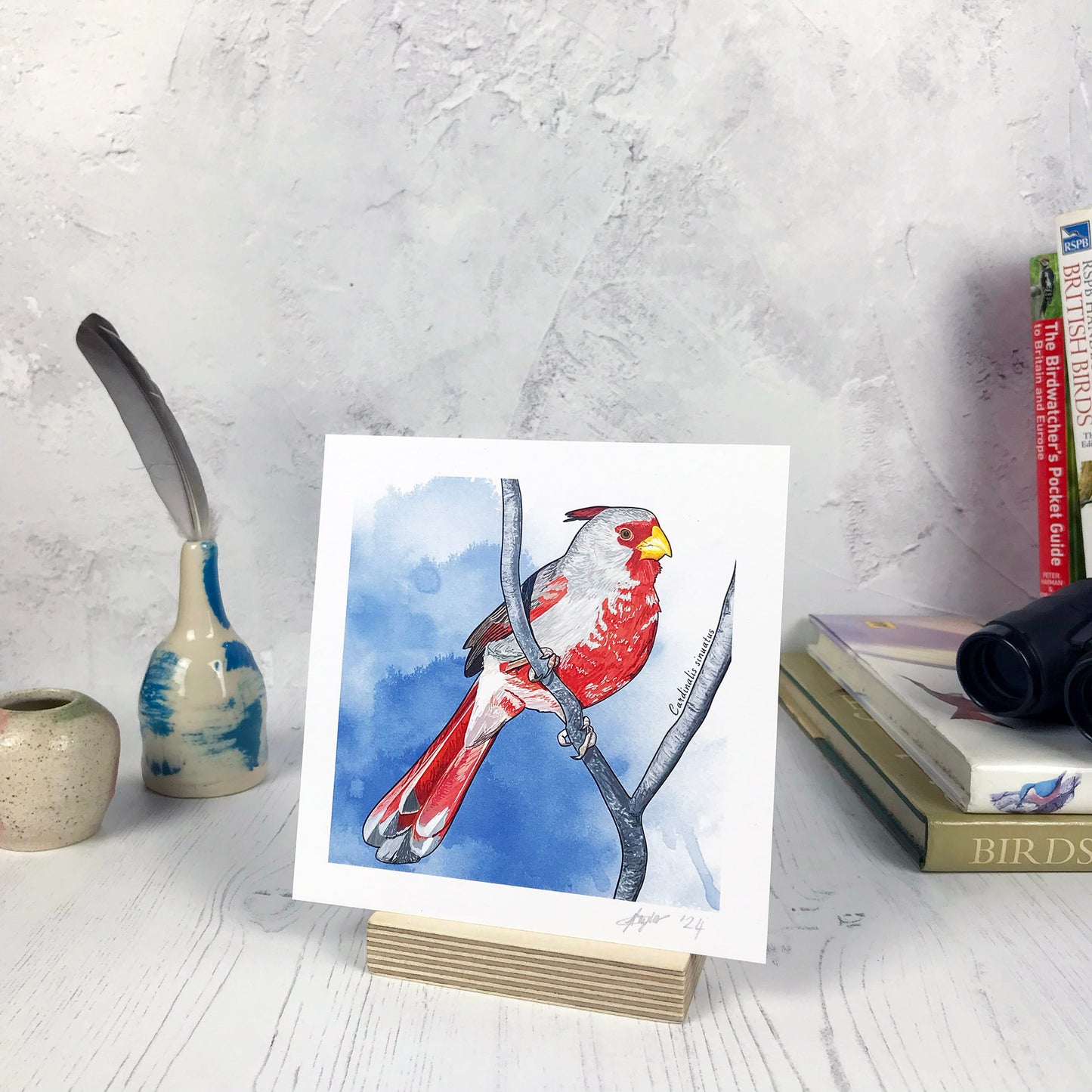 A photo of a small sized 14 cm square art print made from an original illustration by Loadofolbobbins. It is of a Pyrrhuloxia otherwise known as a desert cardinal. It’s perching on a y shaped branch and has striking red feathers on its face tail and body with the rest of the feathers a series of greys. The background is a layered inky blue wash. There is a 2.5 cm white border for framing.