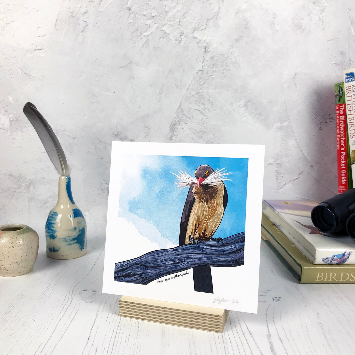 A photo of a small sized 14 cm square art print made from an original illustration by Loadofolbobbins. It is of a a red billed oxpecker perching on a thick gnarled tree branch with a big tuft of fur in its beak. It's a medium large bird with long tail feathers. The back and wings are grey brown and the belly is a buff brown. Particularly distinct is it's sharp bright red beak and yellow colouring around it's eyes. The background is a light blue inky wash. There is a 2.5 cm white border for framing.