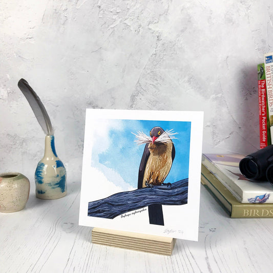 A photo of a small sized 14 cm square art print made from an original illustration by Loadofolbobbins. It is of a a red billed oxpecker perching on a thick gnarled tree branch with a big tuft of fur in its beak. It's a medium large bird with long tail feathers. The back and wings are grey brown and the belly is a buff brown. Particularly distinct is it's sharp bright red beak and yellow colouring around it's eyes. The background is a light blue inky wash. There is a 2.5 cm white border for framing.