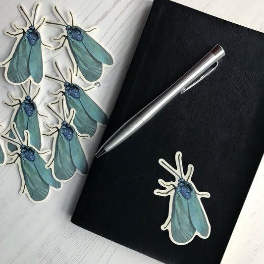 A scarce forester moth sticker created from an original digital illustration by Loadofolbobbins. It has it's wings folded behind itself and looks like it has just landed on a white piece of paper. It's wings are an incredible array of greens and blues all mixed together, they look almost like a metallic blue fabric. It's upper body and head are similar shades of colour but leaning slightly more to the blue spectrum. It has dark compound eyes and blue antennae and dark legs.
