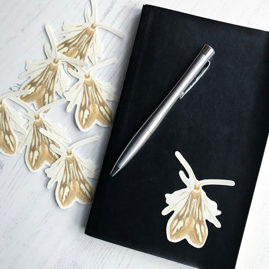 A schreckensteinia festaliella moth sticker by Loadofolbobbins. This little moth has it's wings closed behind it with it's back facing the viewer, in a birds eye view perspective. It has quite slim long upper wings which obscure the lower ones. These upper wings have a kind of gold coloured edging and large area of featherin at the inner edge. The central colour is a buff dark brown with light buff creamy patches. It's head, antennae and legs have a real metallic gold colouring.