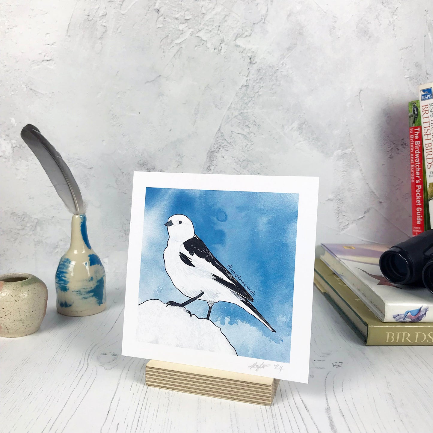 A photo of a small sized 14 cm square art print made from an original digital illustration by Loadofolbobbins. It is of a snow bunting standing rather proudly on a small heap of snow. It’s stark white feathers with rich black wings stands out against a smoky blue ink was background. There is a 2.5 cm white border for framing.