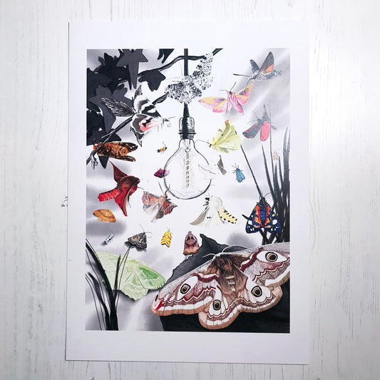 SECOND - UK Moths Art Print